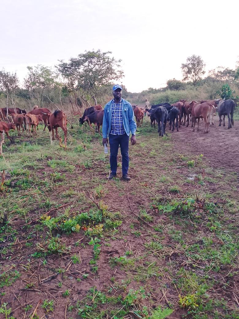 Le Directeur général adjoint de la SM GUILGAL entouré des vaches
