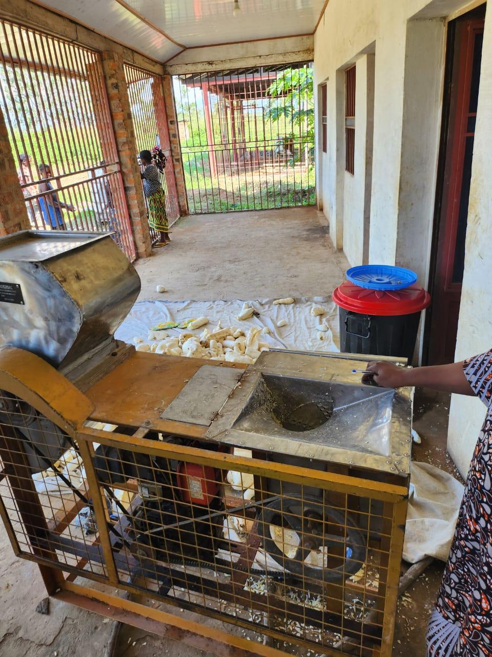 transformateur de manioc